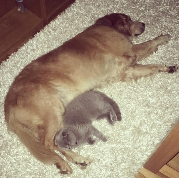 Instagram'da ünlüler: Çok uyumlu çiftiz! 14