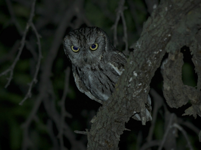 Bu gidişle nefes alamayacağız 10