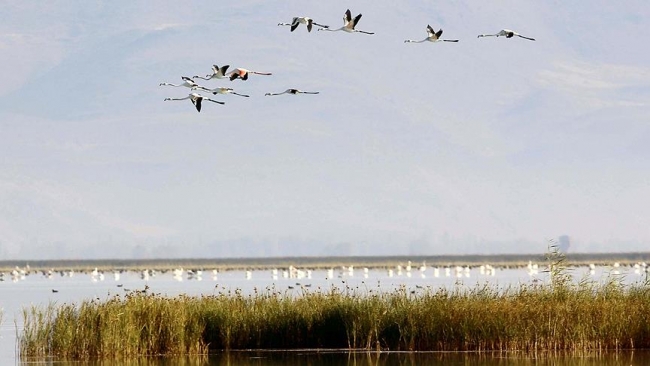 Yerli zeka testiyle, Ainstein'ları avlayacaklar 7