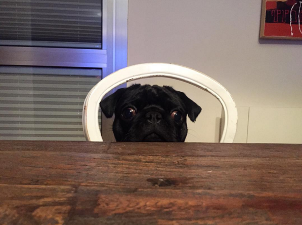 Instagram'da ünlüler: En yakışıklı co-pilot 13