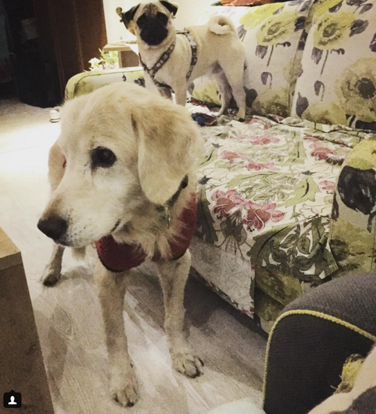 Instagram'da ünlüler: En yakışıklı co-pilot 17