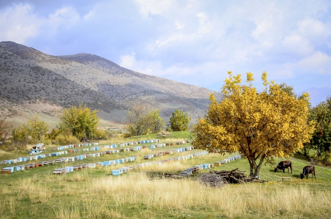 Sonbaharda Türkiye bambaşkadır! 13