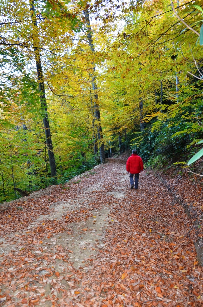 Sonbaharda Türkiye bambaşkadır! 19