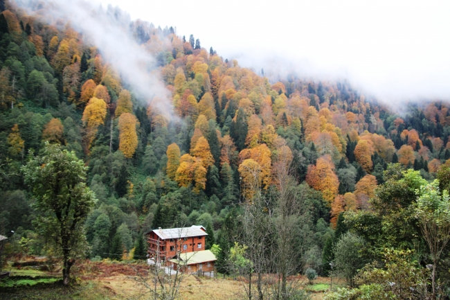 Sonbaharda Türkiye bambaşkadır! 6