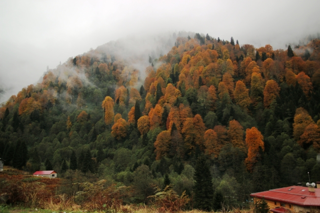 Sonbaharda Türkiye bambaşkadır! 7