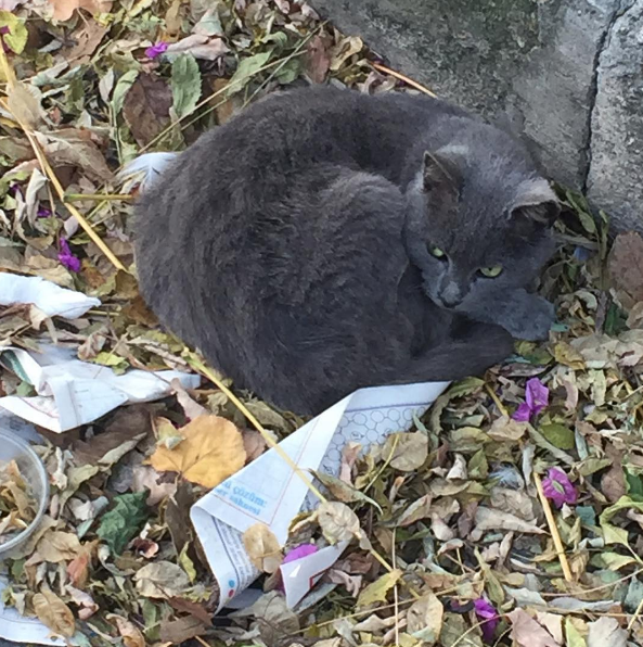 Instagram'da ünlüler: Mehmetçikle fotoğraf! 18