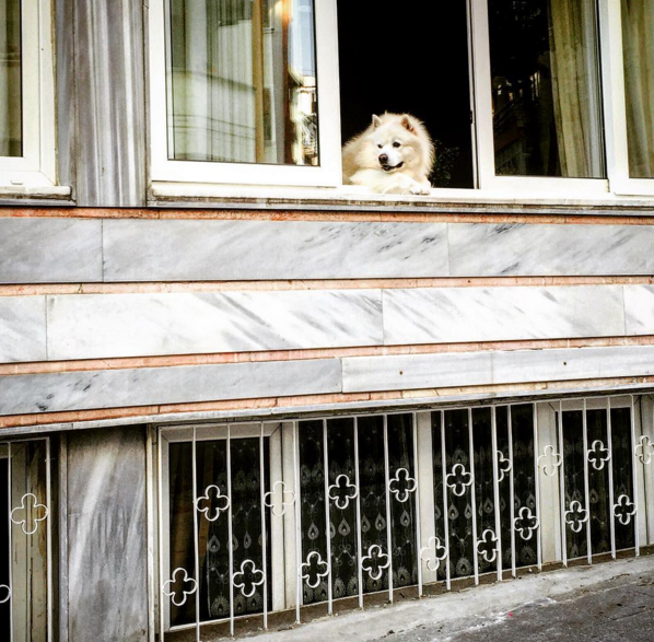 Instagram'da ünlüler: Mehmetçikle fotoğraf! 20