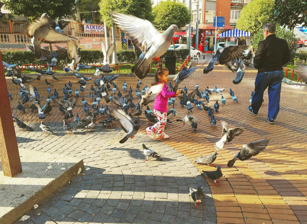 Instagram'da ünlüler: Mehmetçikle fotoğraf! 8