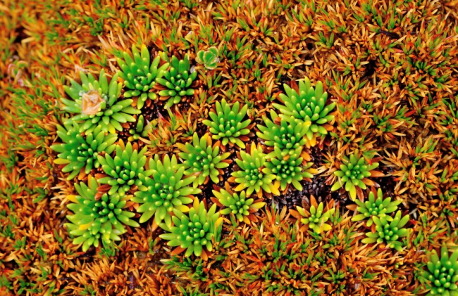 Dünyanın en güzel kötü hava bölgeleri: Ateş Toprakları 3