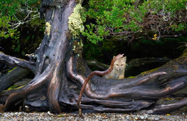 Dünyanın en güzel kötü hava bölgeleri: Ateş Toprakları 6