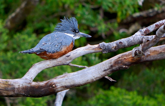 Dünyanın en güzel kötü hava bölgeleri: Ateş Toprakları 7