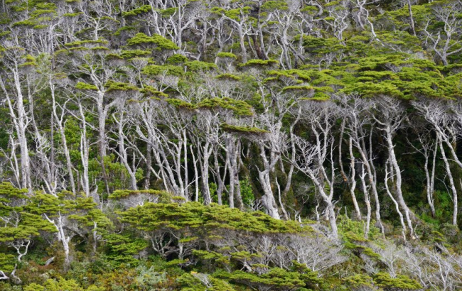 Dünyanın en güzel kötü hava bölgeleri: Ateş Toprakları 13