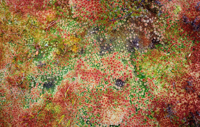 Dünyanın en güzel kötü hava bölgeleri: Ateş Toprakları 15