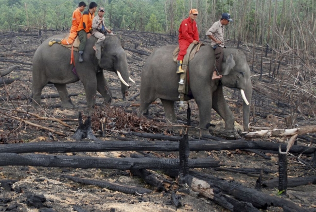 Dünyada bu haftanın en çok konuşulan fotoğrafları 6