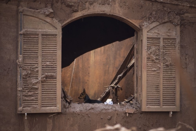 Dünyada bu haftanın en çok konuşulan fotoğrafları 7