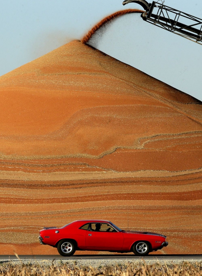 Dünyada bu haftanın en çok konuşulan fotoğrafları 11