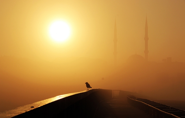 İstanbul'da sis bir başka güzel 1