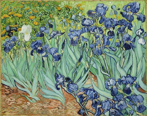 Van Gogh'un kesik kulağı bulundu! 8