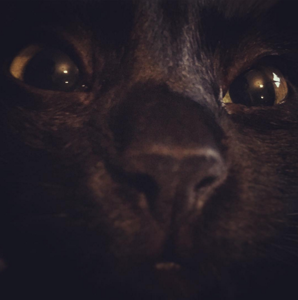 Instagram'da ünlüler: Kızını sahneye titizlikle hazırladı 20