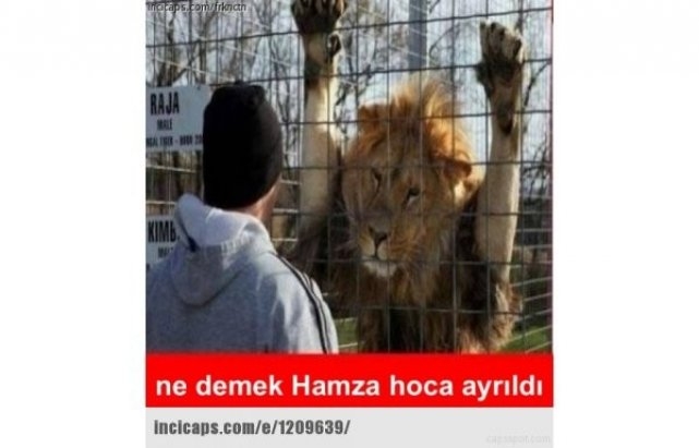 Gidişi sosyal medyayı salladı 16