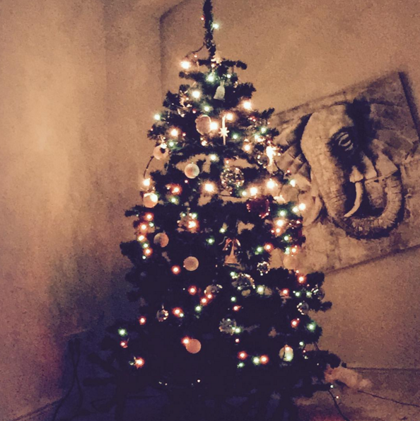 Instagram'da ünlüler: Şahan Gökbakar Sertap Erener'e rakip oldu 6