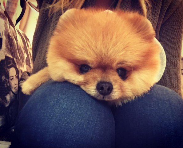 Instagram'da ünlüler: Esra Erol doğum için saatleri sayıyor 13