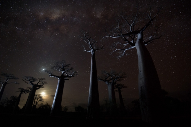 Dünyaya hayran bırakacak ödüllü fotoğraflar 12