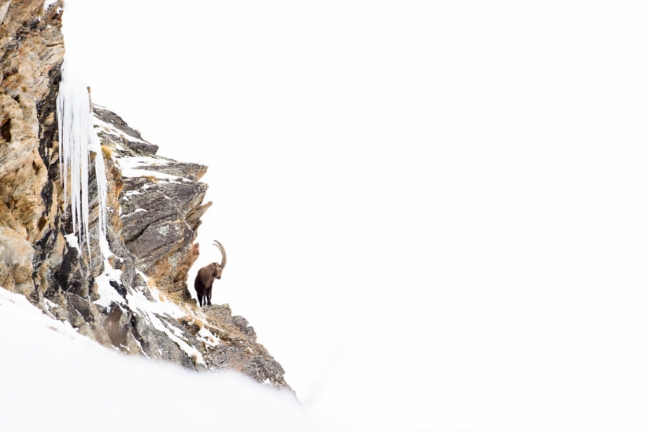 Dünyaya hayran bırakacak ödüllü fotoğraflar 13