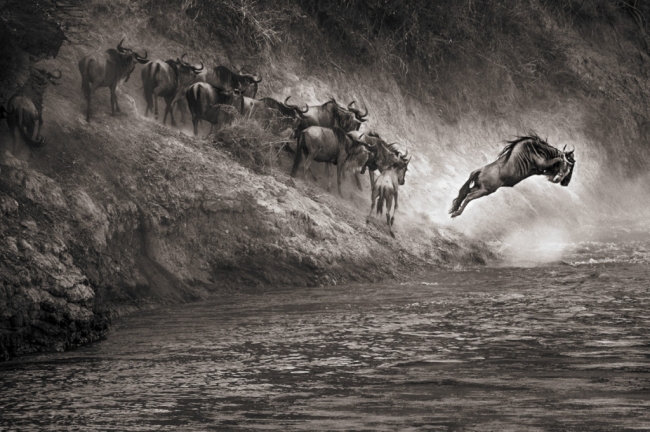 Dünyaya hayran bırakacak ödüllü fotoğraflar 9