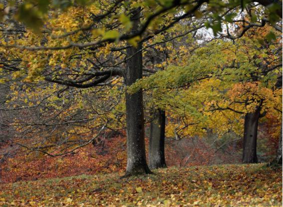 İş görüşmesinde sorulan en tuhaf sorular 15