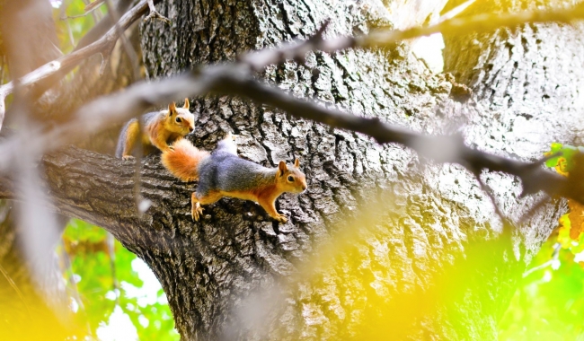 Sonbaharın en güzel renkleri... 3