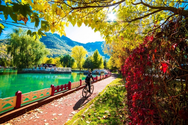 Sonbaharın en güzel renkleri... 5