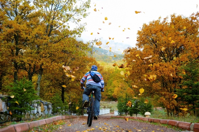 Sonbaharın en güzel renkleri... 6