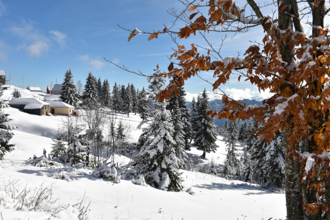 Memleketimden kar manzaraları 19