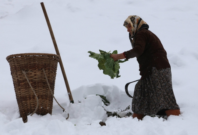 Memleketimden kar manzaraları 4