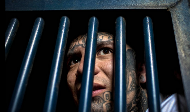 Ölümle burun buruna 8