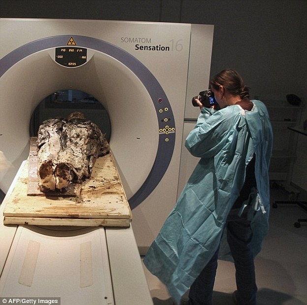 Orta Çağ'dan kalma mumyalanmış kalpler 3