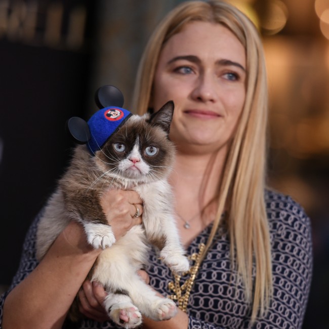Grumpy Cat'in artık bir ikizi var 3