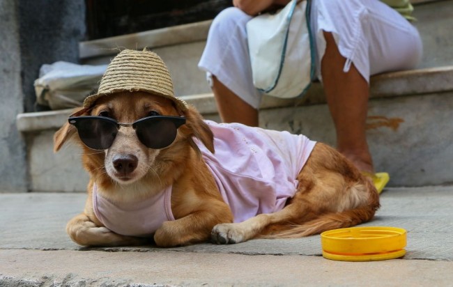 Türklerin yeni gözdesi Küba! 18