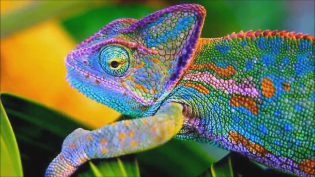 Okulda yanlış öğrendiğiniz beş şey 3