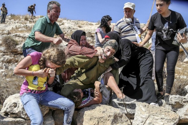 AA'nın gözünden dünya 2015 25