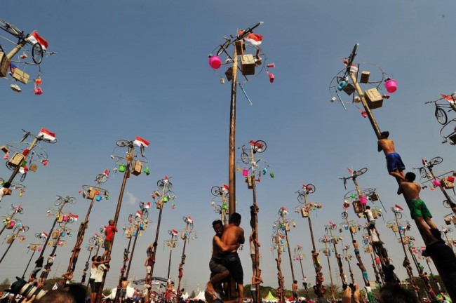 AA'nın gözünden dünya 2015 31