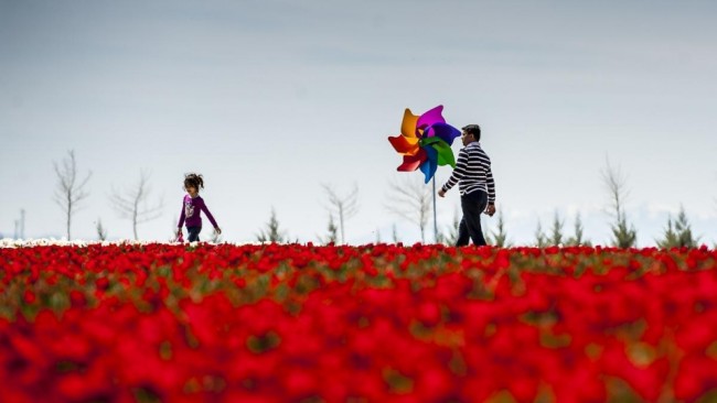 AA'nın gözünden dünya 2015 37