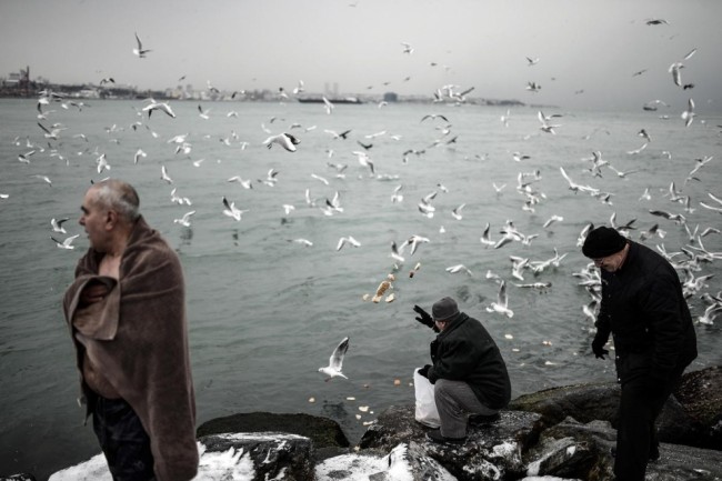 AA'nın gözünden dünya 2015 38