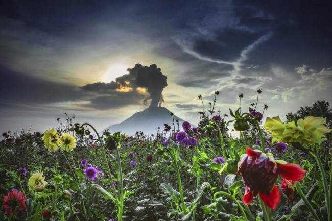 AA'nın gözünden dünya 2015 62