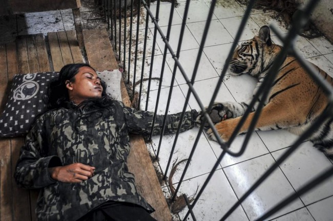 AA'nın gözünden dünya 2015 71