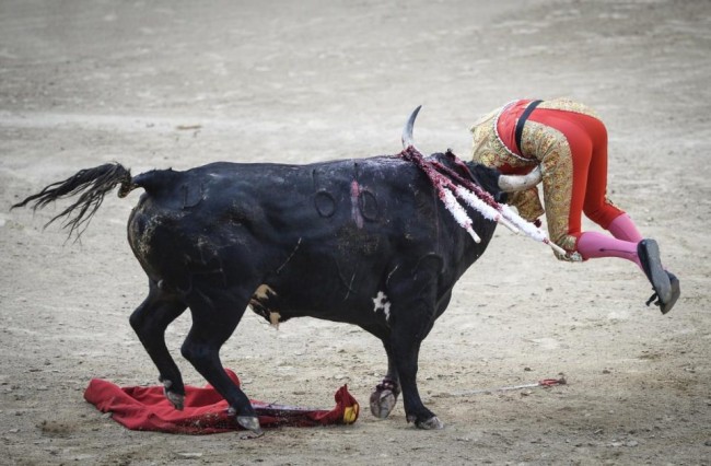 AA'nın gözünden dünya 2015 76