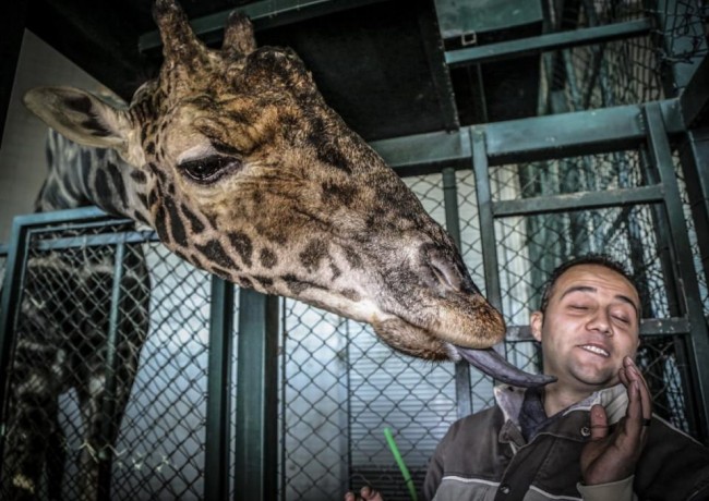 AA'nın gözünden dünya 2015 78