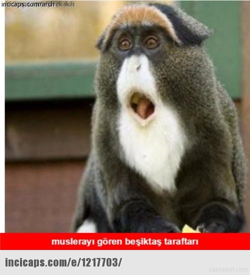 Derbi capsleri sosyal medyayı salladı 24