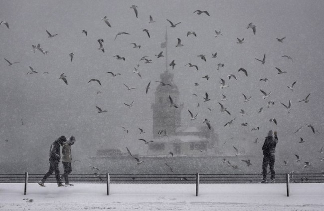 Fotoğraflarla 'İstanbul'un Simgeleri' 21